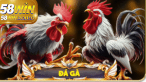 Thế Giới Đá Gà Thomo - Hướng Dẫn Chơi Chi Tiết tại 58win