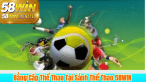 Trải Nghiệm Đẳng Cấp Thể Thao Tại Sảnh Thể Thao 58WIN